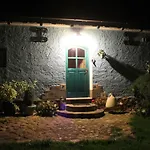 Pod Tulipanem Nad Jeziorem
