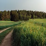 Pod Tulipanem Nad Jeziorem * Zawady
