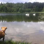 Pod Tulipanem Nad Jeziorem Alojamento de Turismo Rural *