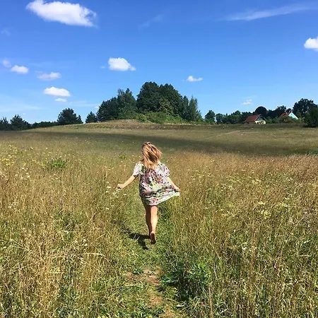 Pod Tulipanem Nad Jeziorem Zawady Oleckie