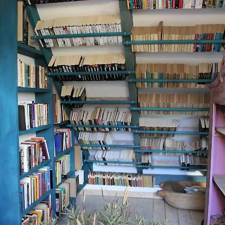 Farma Pod Tulipanem Nad Jeziorem *