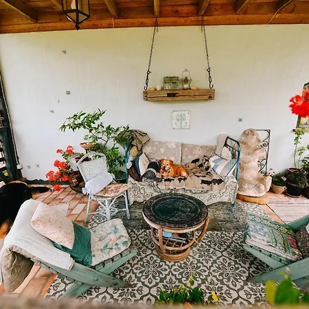 Pod Tulipanem Nad Jeziorem *