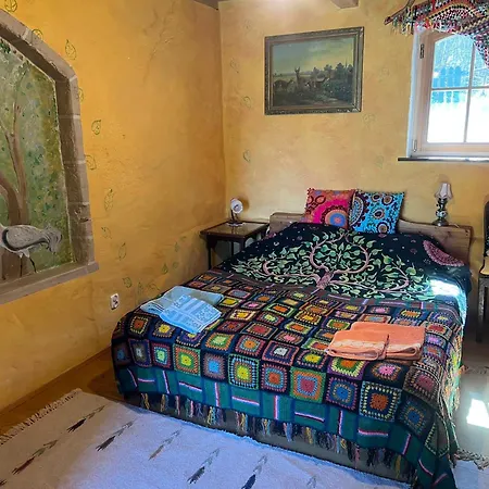 Pod Tulipanem Nad Jeziorem Zawady Oleckie