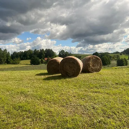 Pod Tulipanem Nad Jeziorem