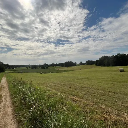 Pod Tulipanem Nad Jeziorem