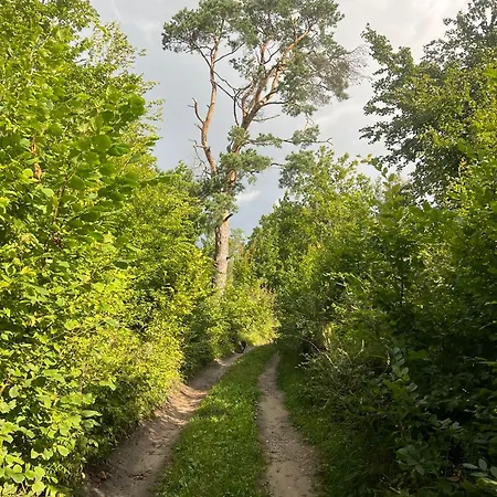 Pod Tulipanem Nad Jeziorem Farma