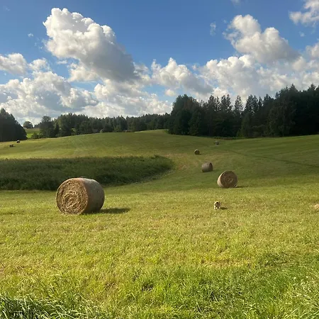 Gospodarstwo agroturystyczne Pod Tulipanem Nad Jeziorem