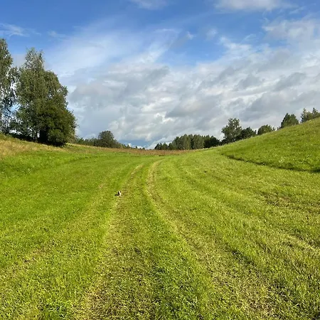 Farma Pod Tulipanem Nad Jeziorem *