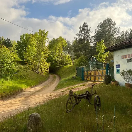 Pod Tulipanem Nad Jeziorem