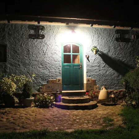 Pod Tulipanem Nad Jeziorem