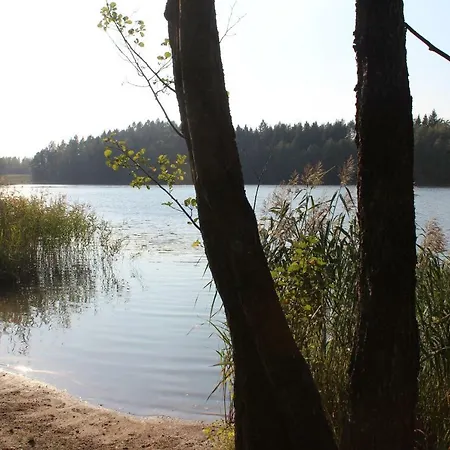 Farma Pod Tulipanem Nad Jeziorem