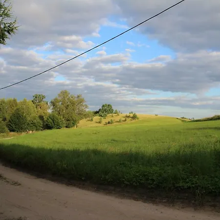 Pod Tulipanem Nad Jeziorem