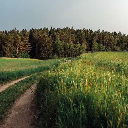 Pod Tulipanem Nad Jeziorem * Zawady