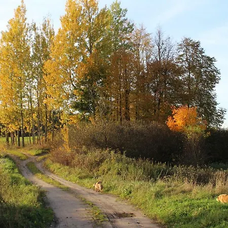 Pod Tulipanem Nad Jeziorem Farm stay