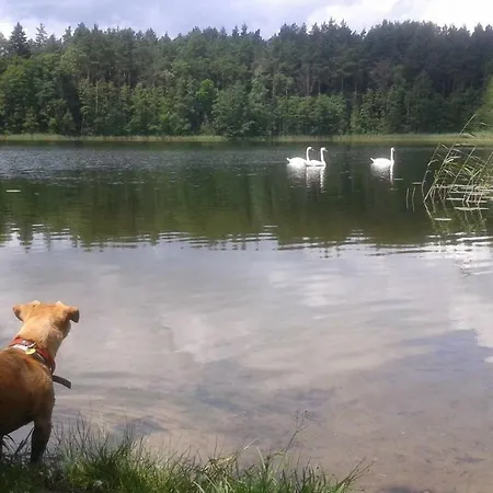 Pod Tulipanem Nad Jeziorem Farma *