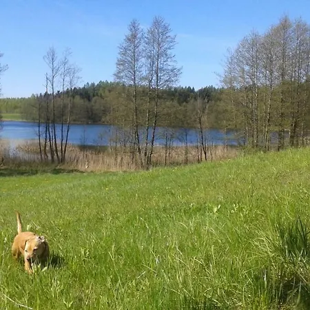 Pod Tulipanem Nad Jeziorem Zawady Oleckie