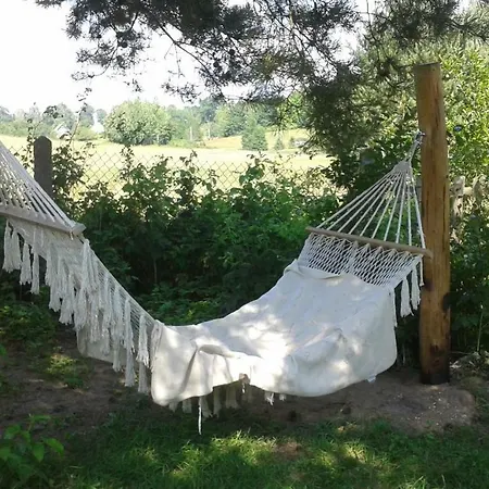 Pod Tulipanem Nad Jeziorem