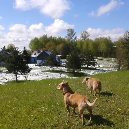 Pod Tulipanem Nad Jeziorem Farma Zawady Oleckie