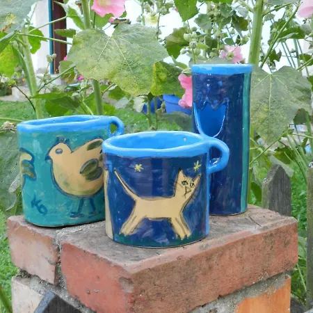 Pod Tulipanem Nad Jeziorem *