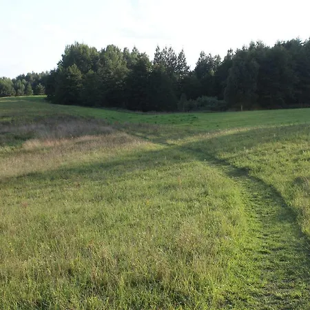 Pod Tulipanem Nad Jeziorem *