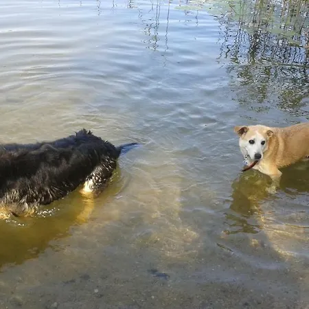 Pod Tulipanem Nad Jeziorem Farma Zawady Oleckie